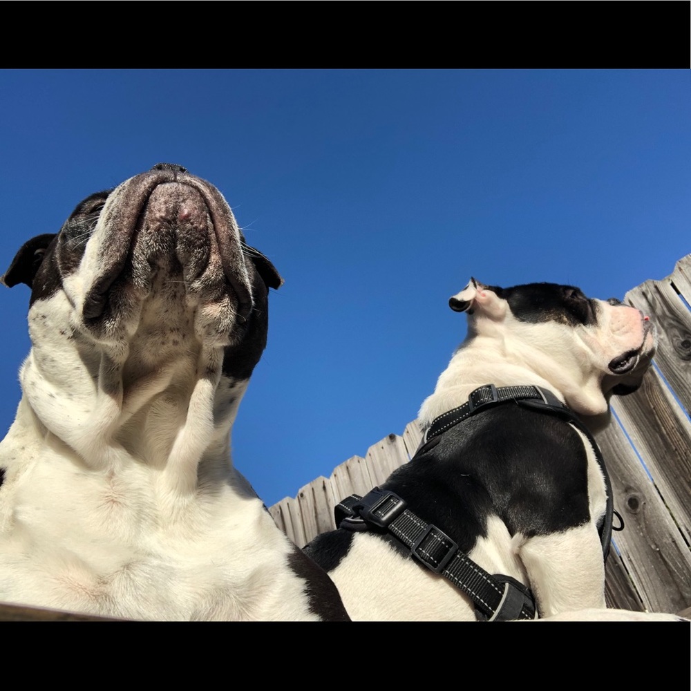 Meet your Posher, Morgen